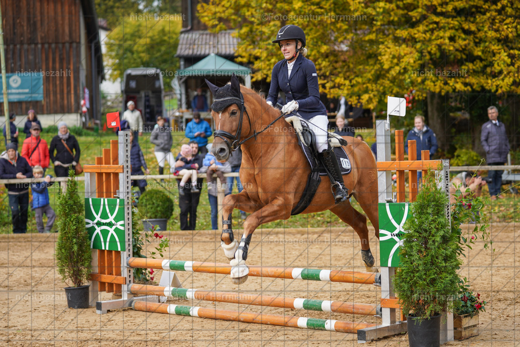 20221009-FAH08605 | Diessen am Ammersee, 2022, Dressur- und Springturnier, Reitsportbilder, Turnierfotografen Bayern, Pferdefotografen, Fotoagentur Herrmann, Turnierbilder