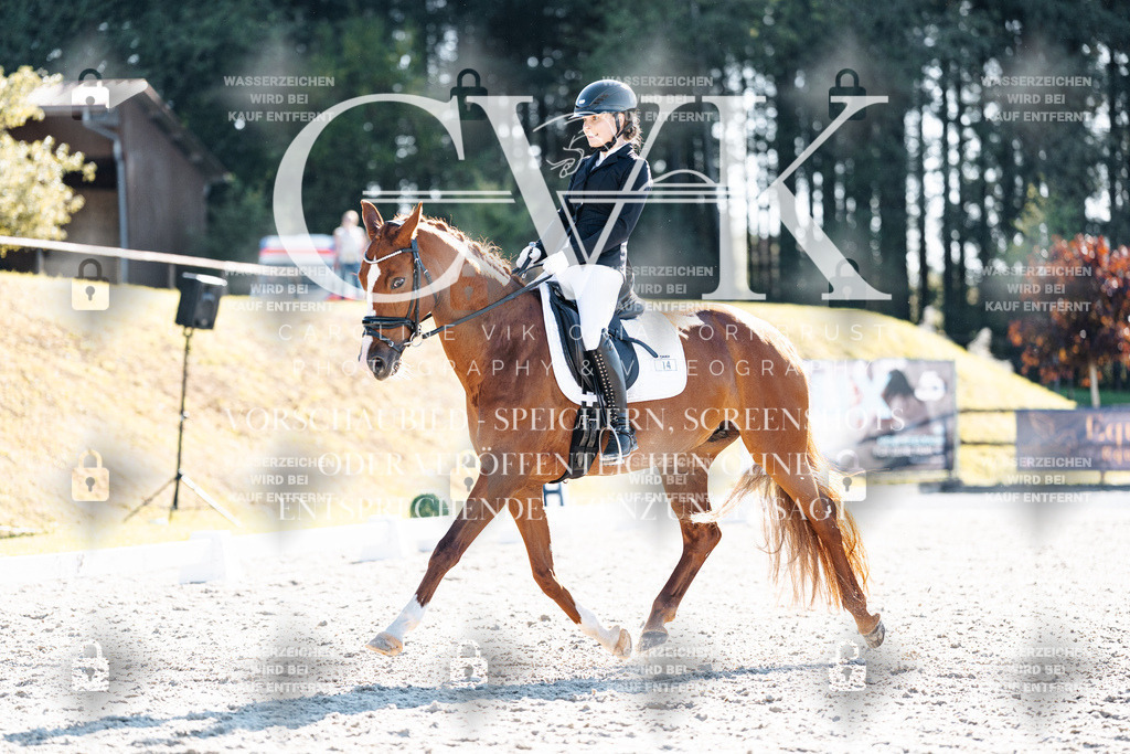 CK906058 | Turnierfotografie Pferdefotografie Trier Rheinland-Pfalz Pferdesport Reitsport Tierfotografie Sportfotografie Pferdevideo Pferdevideografie Equestrianvideography equestrianphotography  - Realisiert mit Pictrs.com