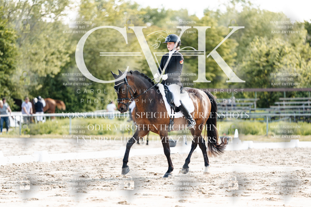 CK909533 | Turnierfotografie Pferdefotografie Trier Rheinland-Pfalz Pferdesport Reitsport Tierfotografie Sportfotografie Pferdevideo Pferdevideografie Equestrianvideography equestrianphotography  - Realisiert mit Pictrs.com