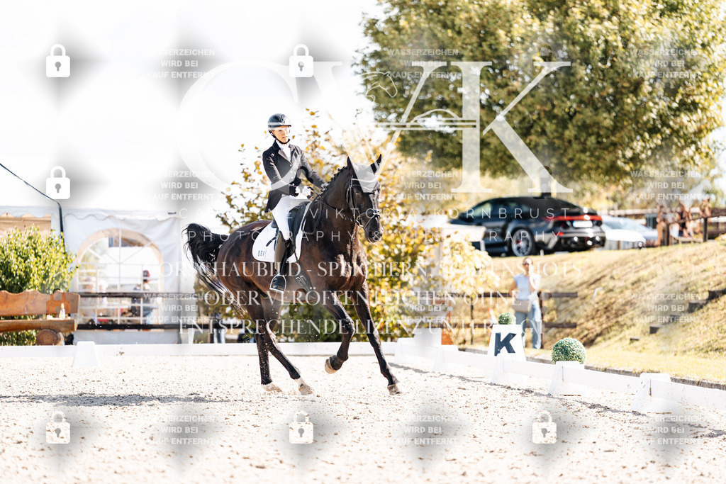CK902555 | Turnierfotografie Pferdefotografie Trier Rheinland-Pfalz Pferdesport Reitsport Tierfotografie Sportfotografie Pferdevideo Pferdevideografie Equestrianvideography equestrianphotography  - Realisiert mit Pictrs.com
