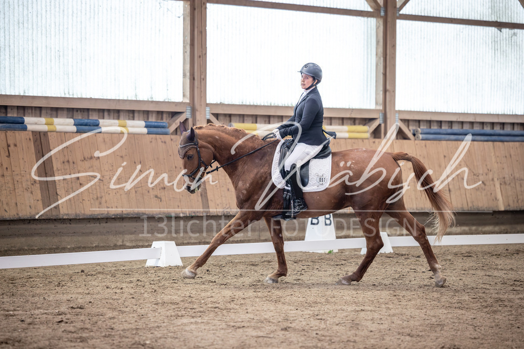 20251011-_3LI9586 | Tierfotografie Pferde, Hunde, Katzen, Haustiere.
Turnierfotografie Reitturniere, Reiten, Springreiten, Dressur in Hanau, dem Main-Kinzig-Kreis und dem Rhein-Main- Gebiet um Frankfurt