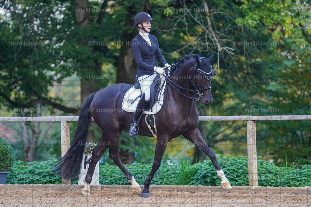 20221007-FAH00621 | Diessen am Ammersee, 2022, Dressur- und Springturnier, Reitsportbilder, Turnierfotografen Bayern, Pferdefotografen, Fotoagentur Herrmann, Turnierbilder