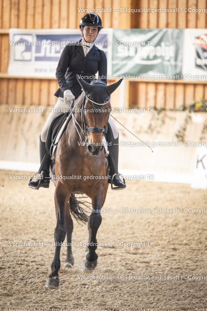 _D5A2741 | Emotionale Pferde- & People-Fotografie rund um Heidelberg, Leimen & Umgebung. Natürliche Fotos von Pferd, Mensch & Familie. Jetzt Termin sichern!