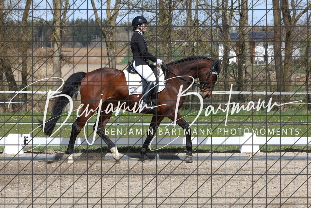 AZ2A3921 | Benjamin Bartmann Photomoments