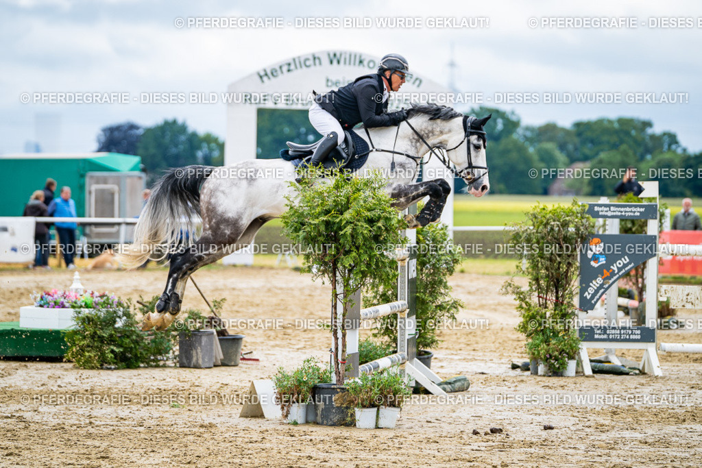 DSC04239 | Pferdegrafie