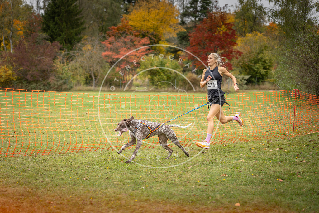 Pfotenfotografie_DV3A4482 | Hundefotografie, Tierfotograf, Pfotenfotografie, Fotoshooting Hund, Hunde Portrait, Hundesport, Hundeportraits, Heideshooting, Hunde, Sportfotograf, Hundefotograf, Turnierhundsport, THS,  - Realisiert mit Pictrs.com