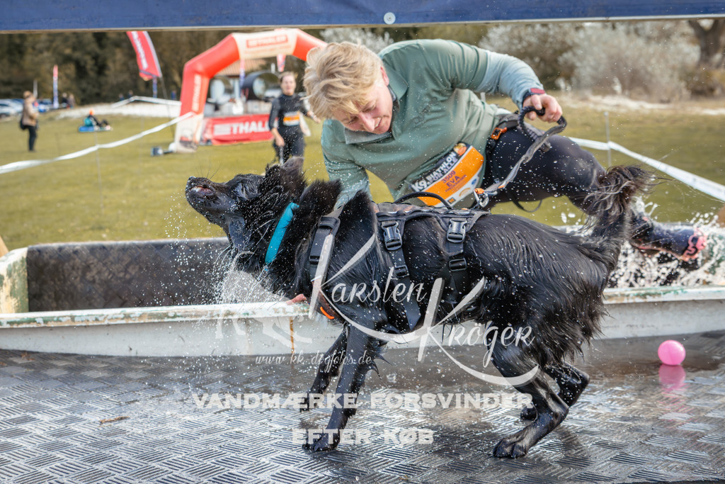 1403_ZZ93492-2 | kk-dogfotos