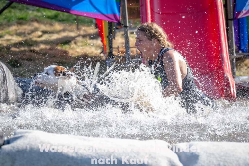 1640_ZZ90708 | kk-dogfotos