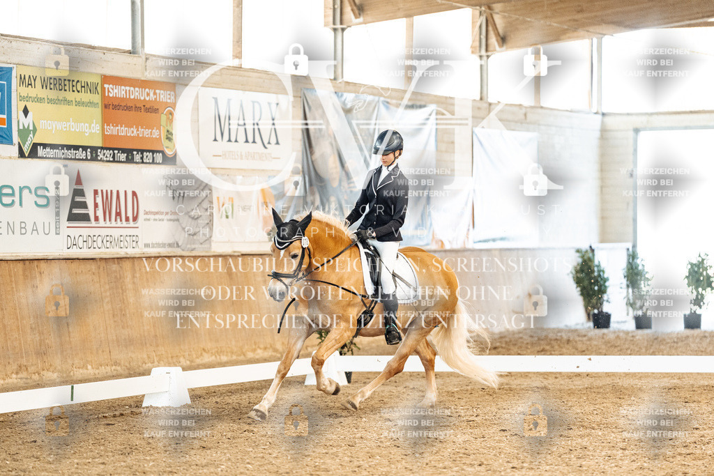 CK900211 | Turnierfotografie Pferdefotografie Trier Rheinland-Pfalz Pferdesport Reitsport Tierfotografie Sportfotografie Pferdevideo Pferdevideografie Equestrianvideography equestrianphotography  - Realized with Pictrs.com