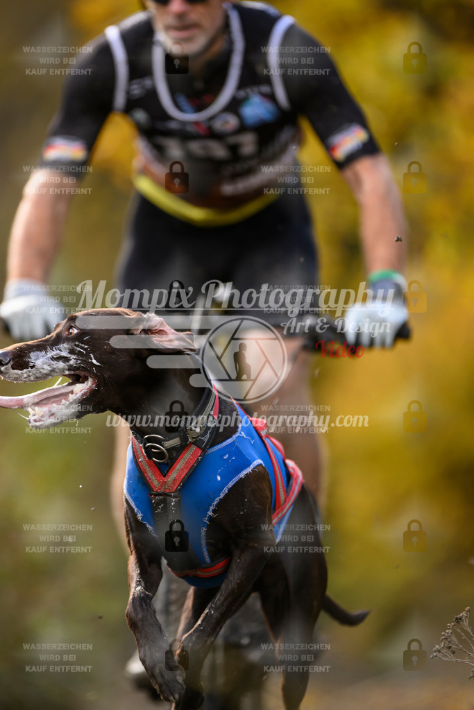 MompixPhotography_ICF_WC_2024_SA_Bike_-315 | PayLife