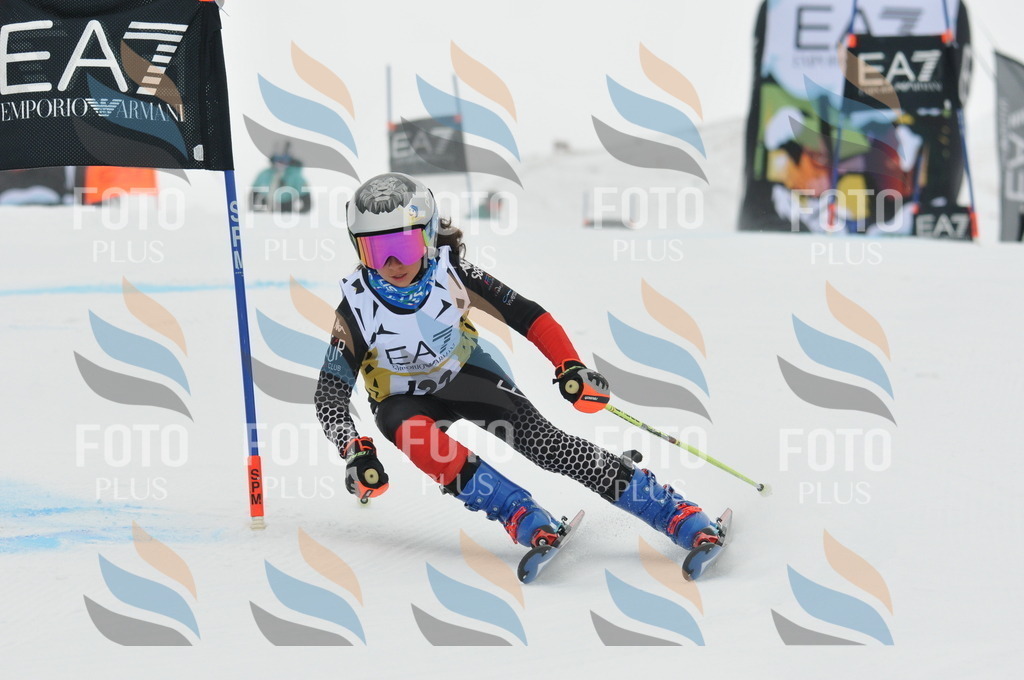 DSC_8233 | holidayphoto