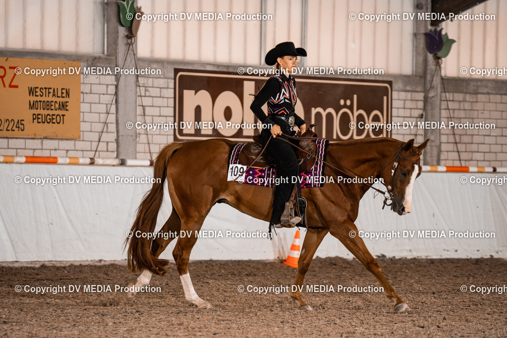 ZH100113 | dv-media-shop - Realisiert mit Pictrs.com