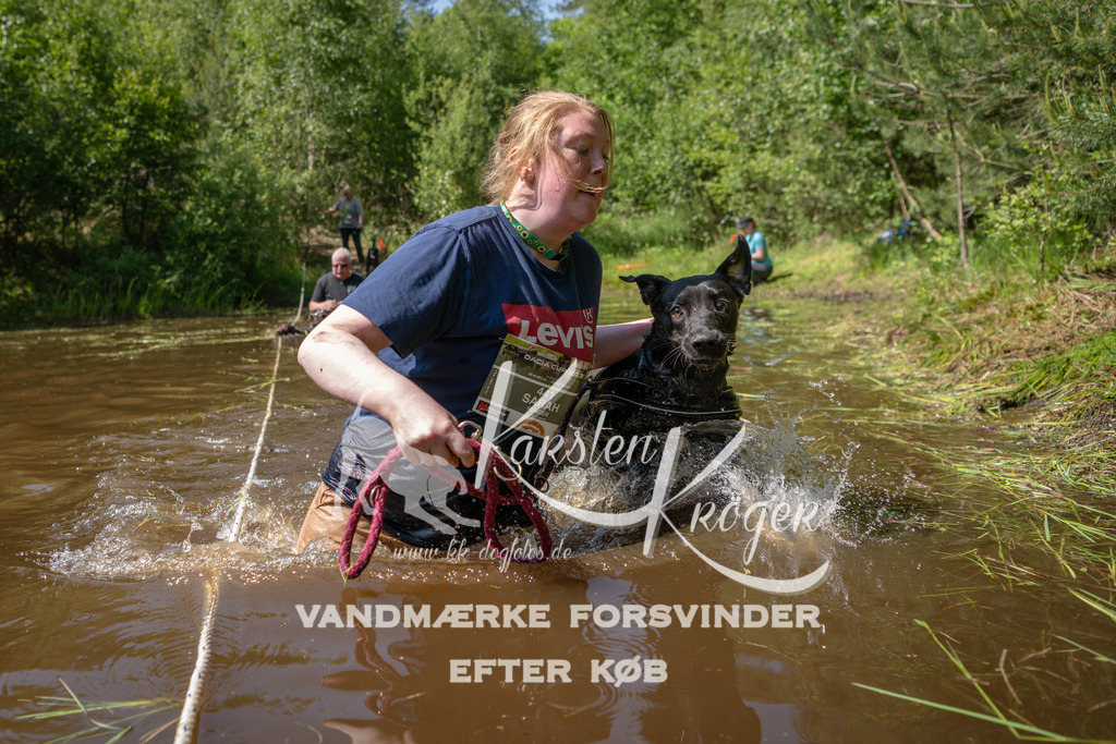 1511DKK992447 | kk-dogfotos