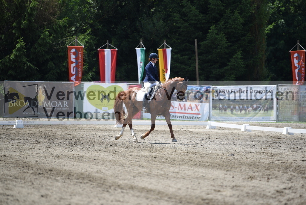 DSC_0581 | equestrian-live-com
