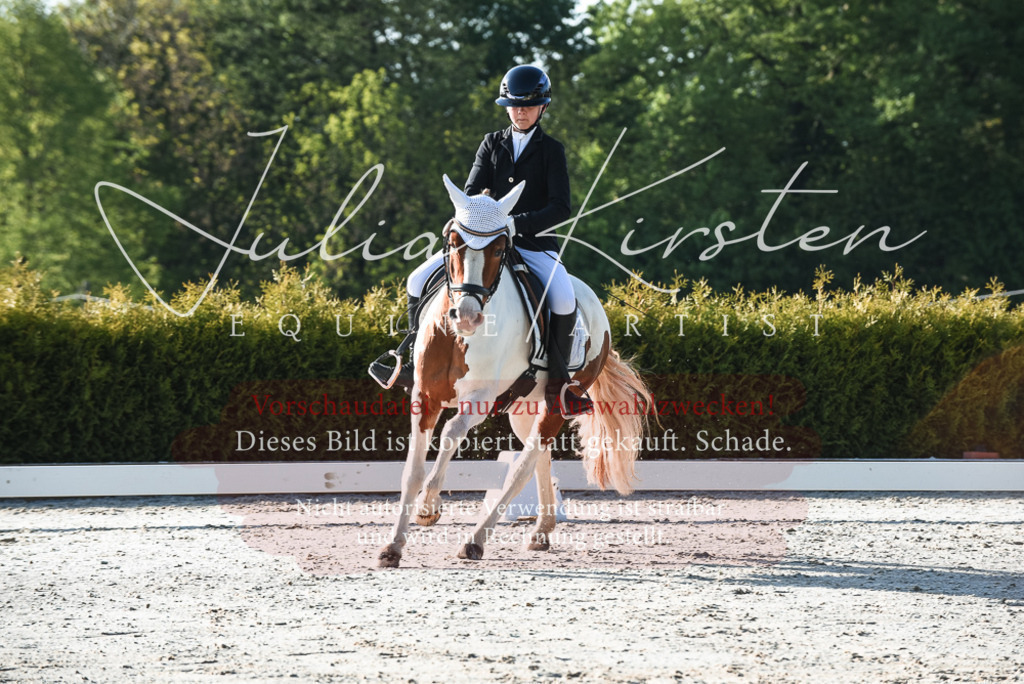 20230518_JK-Röhrsdorf-09-0297 | Pferde- und Turnierfotografie in Westsachsen. Pferdeportraits, Auftragszeichnungen und intuitive Kunst.