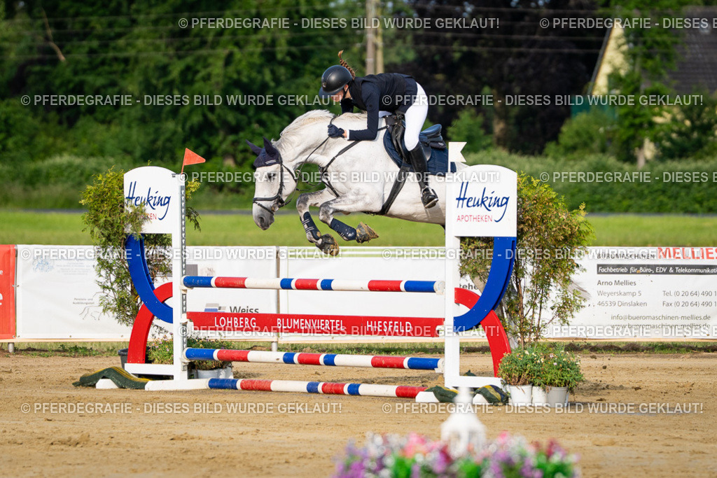 DSC02365 | Pferdegrafie