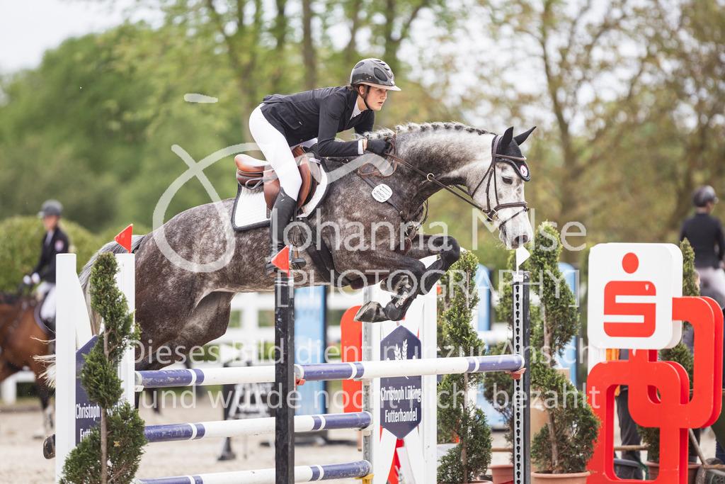 260508_PfSpTa_9_SprPf-L-933 | Deine schönsten Turniermomente als professionelle Fotos! Entdecke hochwertige Pferdesport-Fotografie im Online-Shop. Jetzt Fotos finden & bestellen!