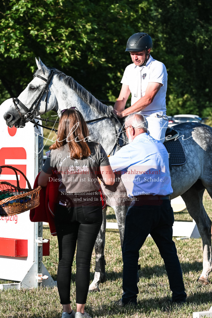DSC_3165 | Pferde- und Turnierfotografie in Westsachsen. Pferdeportraits, Auftragszeichnungen und intuitive Kunst.