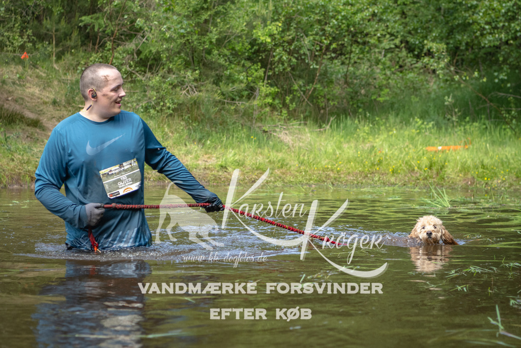 1254DKK993604 | kk-dogfotos