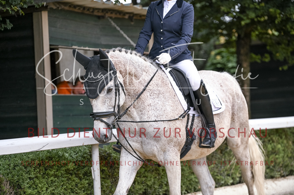 Schugtsche-Aluta25-44.DresssurreiterWB-33 | Schugtsche Fotografie - Realisiert mit Pictrs.com