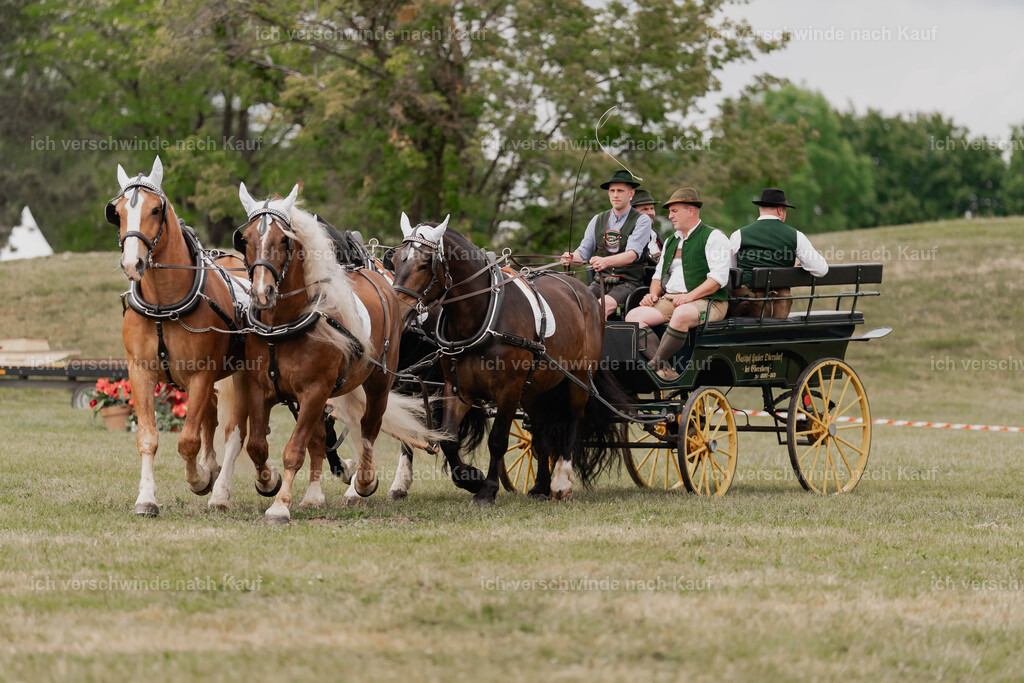 Showprogramm-349 | working equitationturnier fotograf videograf stoibphotography marixx film working equitation deutschland reitsport turnierfotografie eventfotografie equestrian events