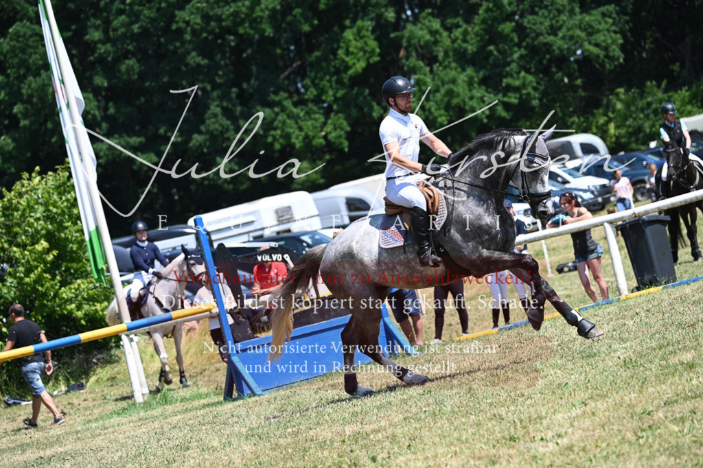 DSC_0545 | Pferde- und Turnierfotografie in Westsachsen. Pferdeportraits, Auftragszeichnungen und intuitive Kunst.