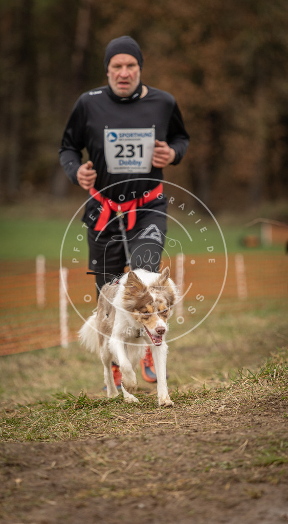DV3A3079 | Hundefotografie, Tierfotograf, Pfotenfotografie, Fotoshooting Hund, Hunde Portrait, Hundesport, Hundeportraits, Heideshooting, Hunde, Sportfotograf, Hundefotograf, Turnierhundsport, THS,  - Realisiert mit Pictrs.com