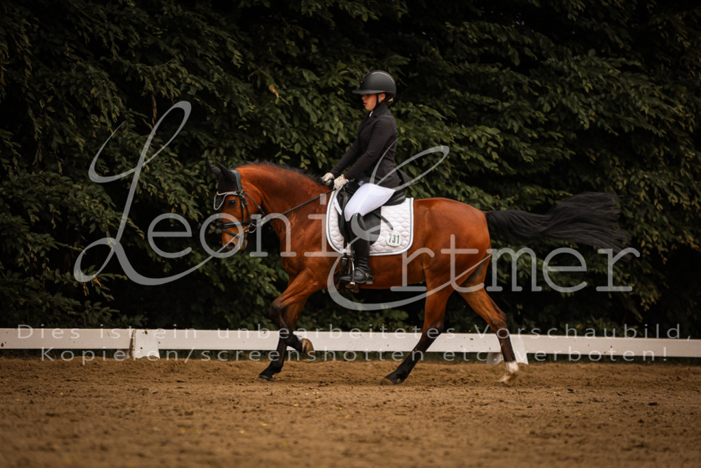 DoDrE00321 | Leoni Ertmer Photography - Realisiert mit Pictrs.com