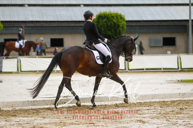 DKP40446 | Turniersportfotografie; Pferdefotografie; Dressurfotografie