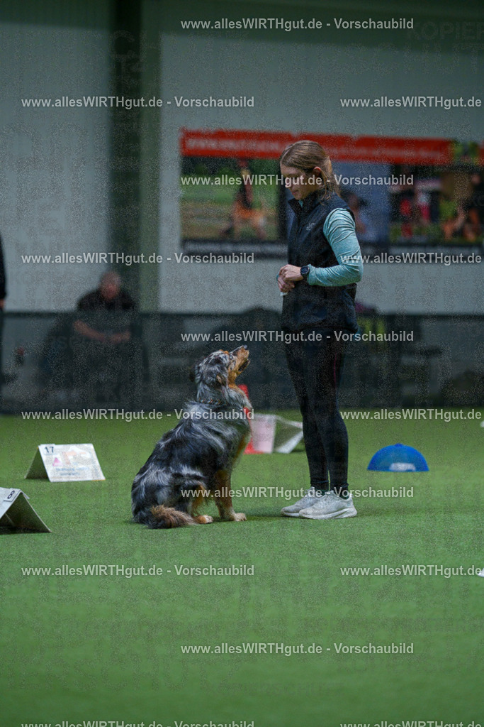 7R503117 | Professionelle Tierfotografie in Mönchengladbach von Daniel Wirth (allesWIRTHgut). Liebevolle & natürliche Bilder von Hunden & Katzen für unvergessliche Erinnerungen.
