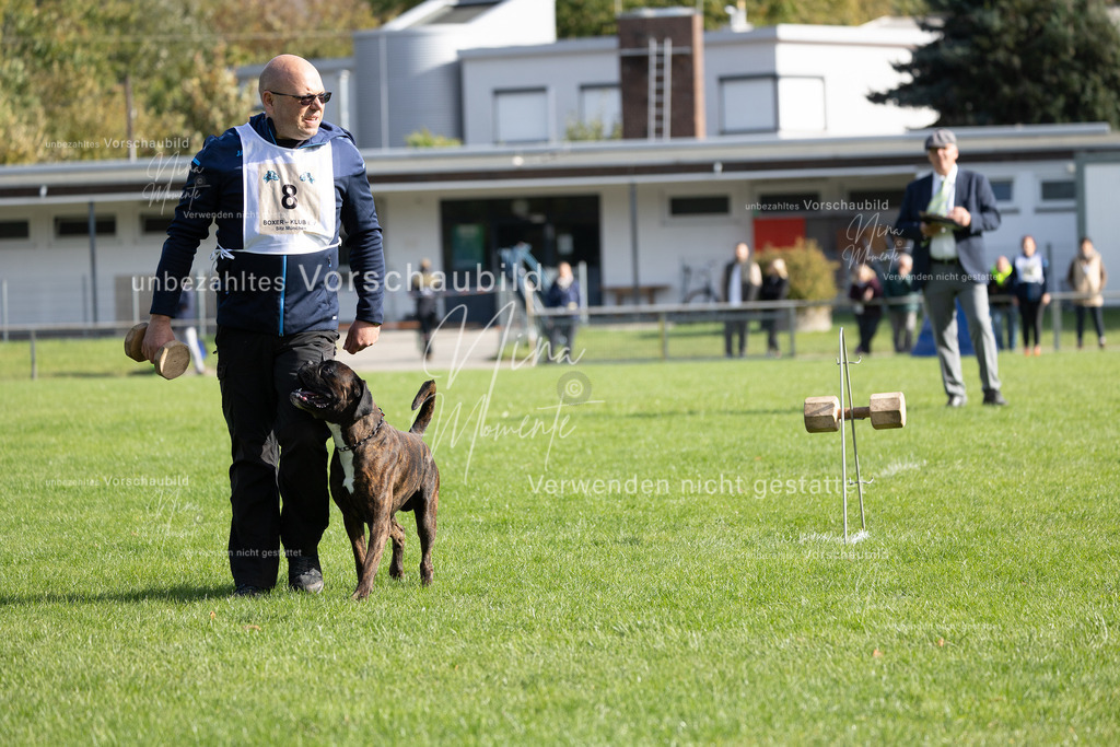 _16A6823 | Einzigartige Fotos von Hunden & Menschen –Actionfotos, Portraits, Vereinsaufnahmen & Paarshootings – authentisch, lebendig & mit Herz.