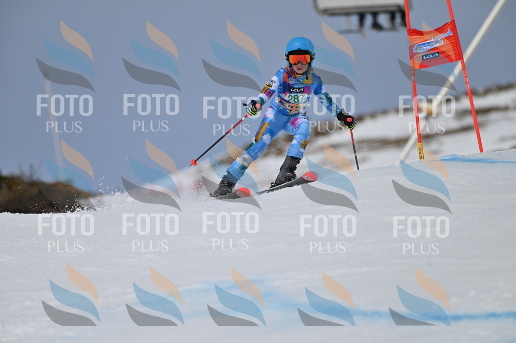 BGV_5721 | holidayphoto