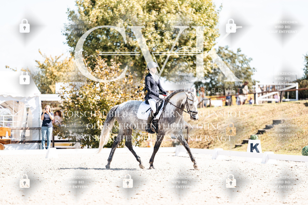 CK903867 | Turnierfotografie Pferdefotografie Trier Rheinland-Pfalz Pferdesport Reitsport Tierfotografie Sportfotografie Pferdevideo Pferdevideografie Equestrianvideography equestrianphotography  - Realisiert mit Pictrs.com