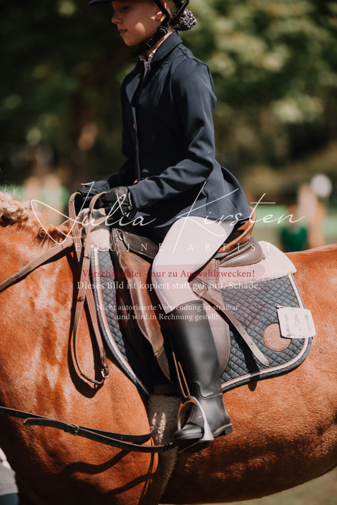 DSC_6020 | Pferde- und Turnierfotografie in Westsachsen. Pferdeportraits, Auftragszeichnungen und intuitive Kunst.