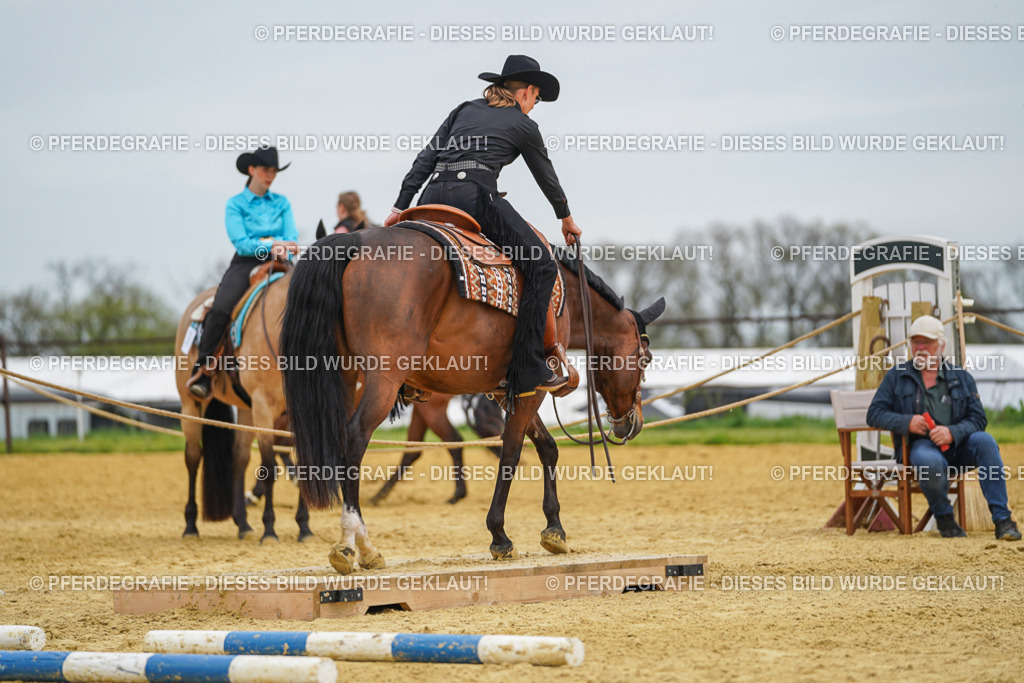 DSC02966 | Pferdegrafie