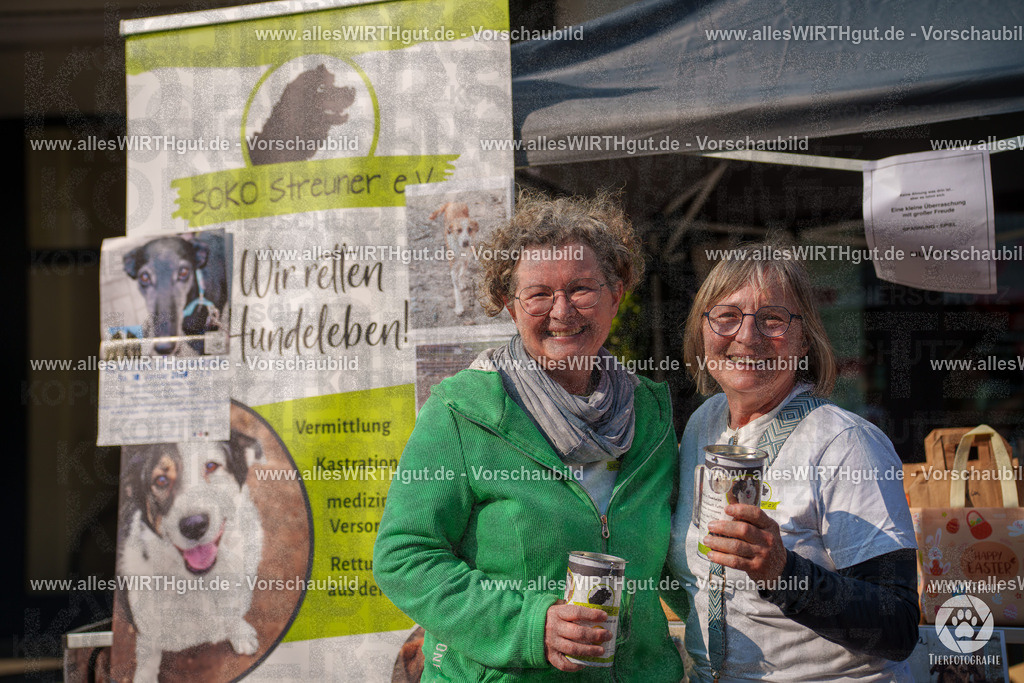 Pfötchenmarkt Nettetal-Lobberich 2026 - Nettetal-Tag - Daniel Wirth - www.allesWIRTHgut.de - @allesWIRTHgut_Tierfotografie 7R508330 | Professionelle Tierfotografie in Mönchengladbach von Daniel Wirth (allesWIRTHgut). Liebevolle & natürliche Bilder von Hunden & Katzen für unvergessliche Erinnerungen.