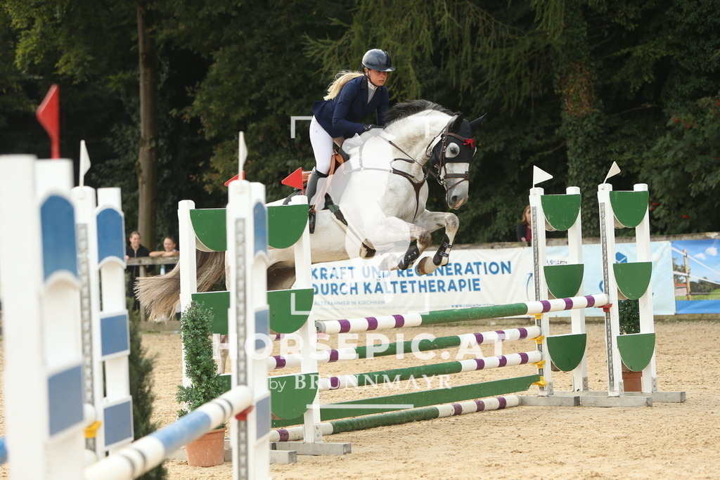 DL2Q6361 | Willkommen bei Brunnmayr - Design & Fotografie – Ihrem Spezialisten für Reitturniere und Pferdeveranstaltungen in Oberösterreich, Salzburg und Bayern! Seit über 17 Jahren sind wir leidenschaftlich dabei.