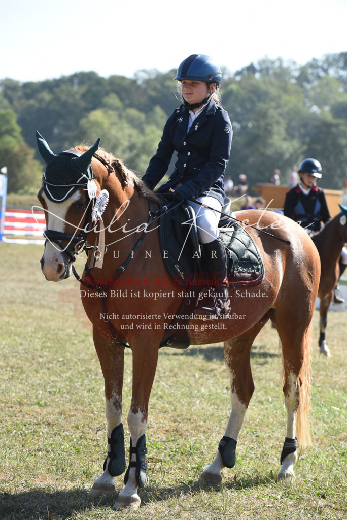 DSC_6164 | Pferde- und Turnierfotografie in Westsachsen. Pferdeportraits, Auftragszeichnungen und intuitive Kunst.