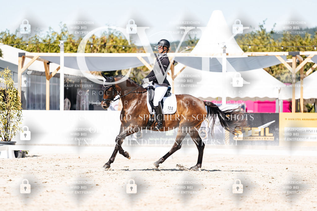 CK909800 | Turnierfotografie Pferdefotografie Trier Rheinland-Pfalz Pferdesport Reitsport Tierfotografie Sportfotografie Pferdevideo Pferdevideografie Equestrianvideography equestrianphotography  - Realisiert mit Pictrs.com