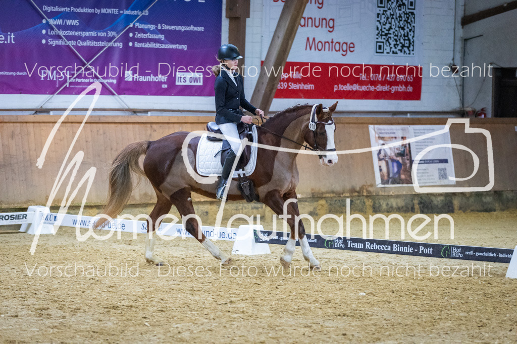 Sth-WBO25-EDr-063 | MomenTaufnahmen Pferdesportfotos