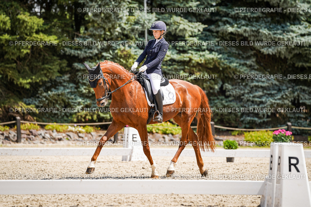 DSC01239 | Pferdegrafie