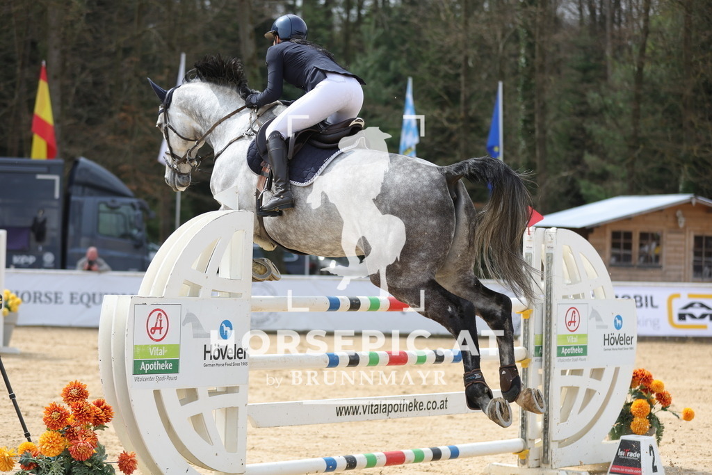 0P6A5504 | Willkommen bei Brunnmayr - Design & Fotografie – Ihrem Spezialisten für Reitturniere und Pferdeveranstaltungen in Oberösterreich, Salzburg und Bayern! Seit über 17 Jahren sind wir leidenschaftlich dabei.