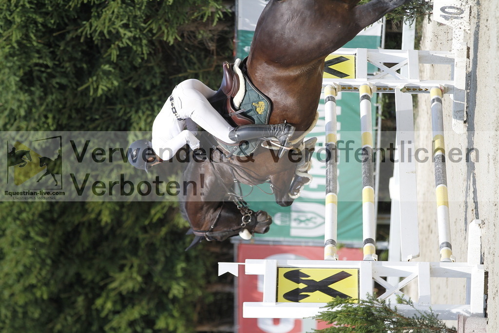 _MG_8807 | equestrian-live-com