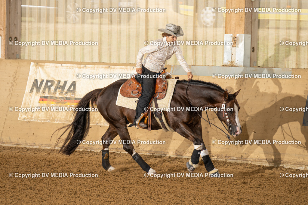 LAU01543 | dv-media-shop - Realisiert mit Pictrs.com