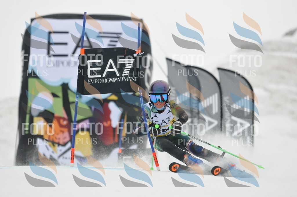 DSC_8463 | holidayphoto