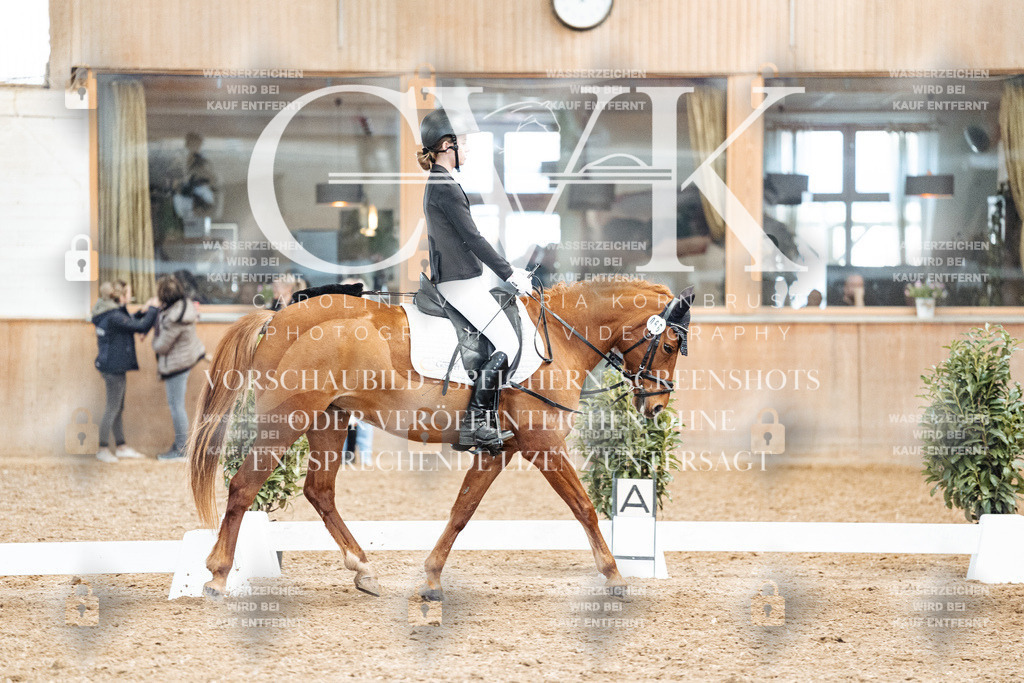 CK900428 | Turnierfotografie Pferdefotografie Trier Rheinland-Pfalz Pferdesport Reitsport Tierfotografie Sportfotografie Pferdevideo Pferdevideografie Equestrianvideography equestrianphotography  - Realized with Pictrs.com