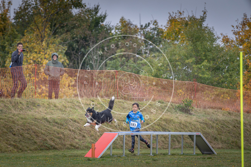 Pfotenfotografie_DV3A0363 | Hundefotografie, Tierfotograf, Pfotenfotografie, Fotoshooting Hund, Hunde Portrait, Hundesport, Hundeportraits, Heideshooting, Hunde, Sportfotograf, Hundefotograf, Turnierhundsport, THS,  - Realisiert mit Pictrs.com