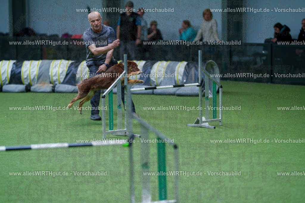 @allesWIRTHgut_Tierfotografie - www.allesWIRTHgut.de - 2604251053-7R500454 | Professionelle Tierfotografie in Mönchengladbach von Daniel Wirth (allesWIRTHgut). Liebevolle & natürliche Bilder von Hunden & Katzen für unvergessliche Erinnerungen.
