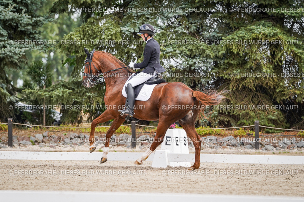 DSC04114 | Pferdegrafie