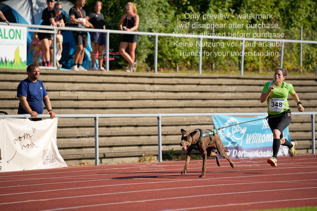 Sonntag_Staffel (76 von 336) | stephaniefillaphotographie - Realisiert mit Pictrs.com